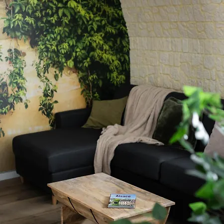 Lägenhet Route Des Vins Mulhouse