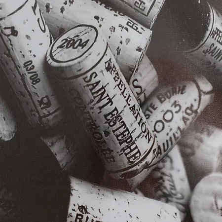 Route Des Vins * Mulhouse