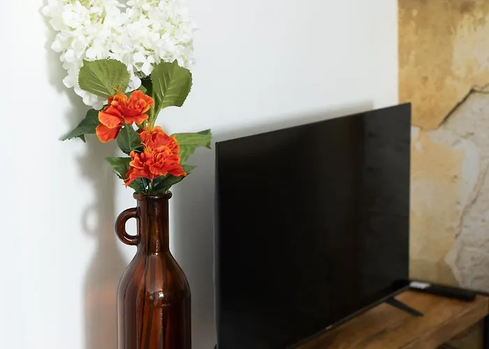 Route Des Vins * 뮐루즈