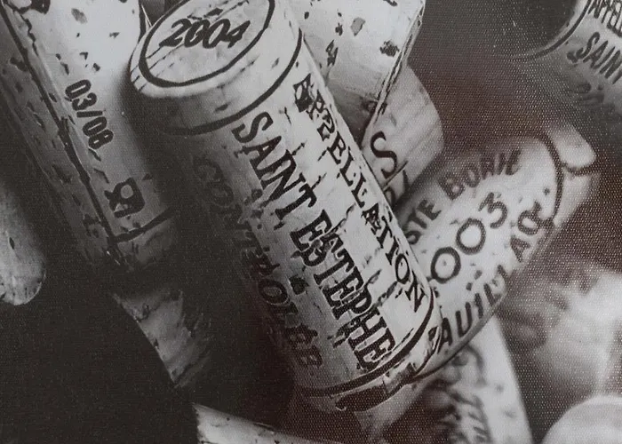 Route Des Vins * 뮐루즈